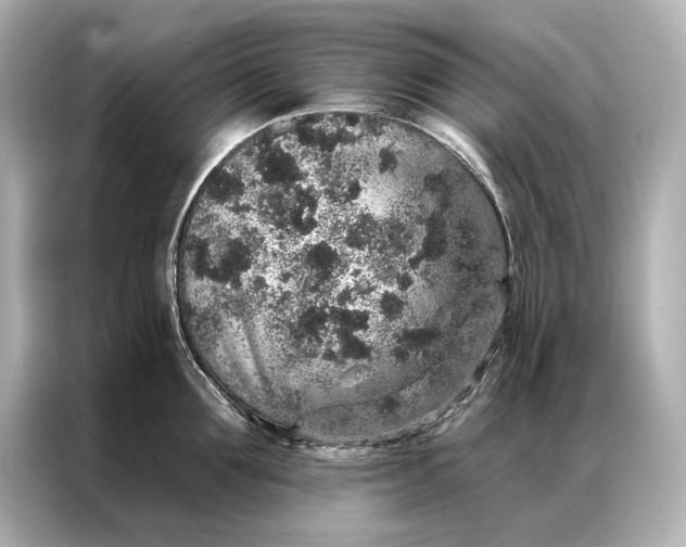 X0000086950907200704301215