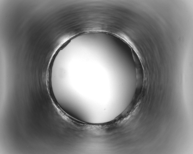 X0000086950909200704301215