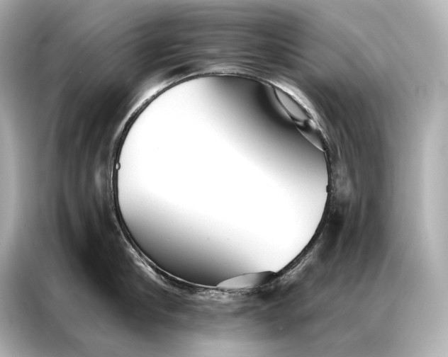 X0000086950910200704301215