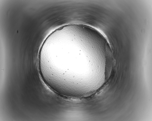 X0000086950911200704301215