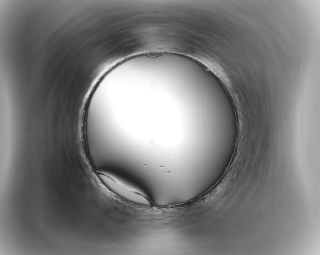 X0000086950912200704301215