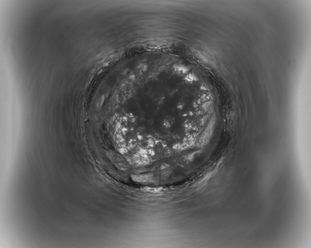 X0000086950913200704301214