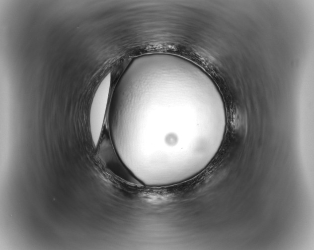 X0000086950915200704301214