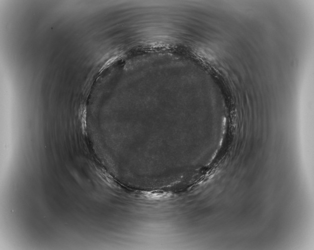 X0000086950916200704301214