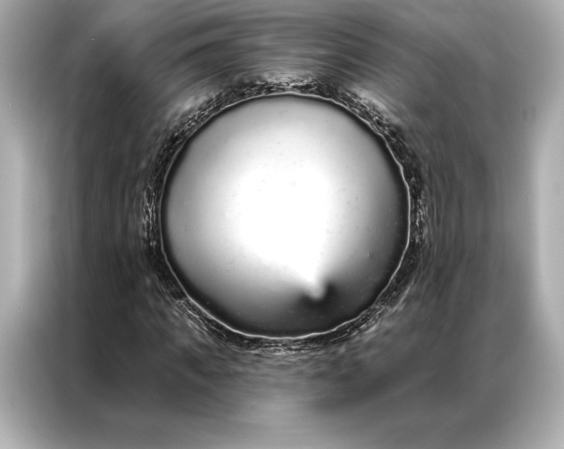 X0000086950917200704301214