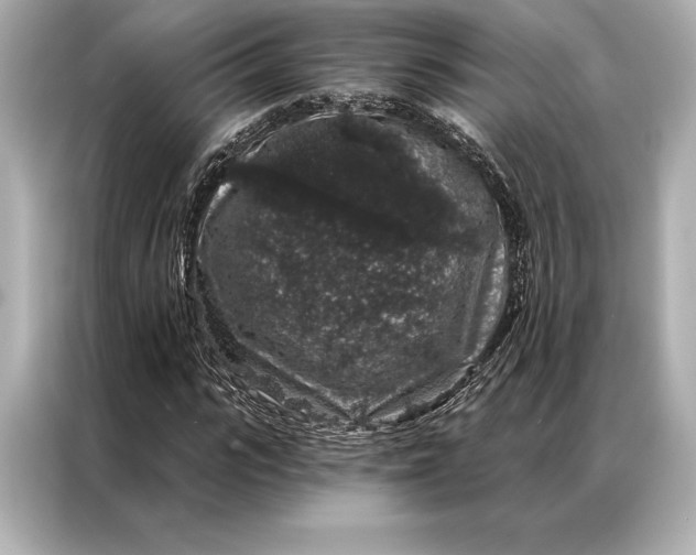 X0000086950919200704301214