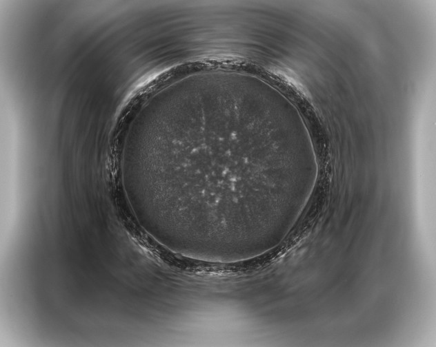 X0000086950920200704301214