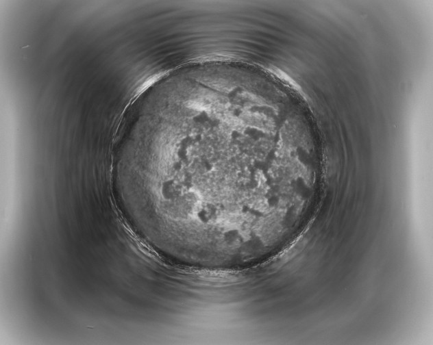 X0000086950921200704301214