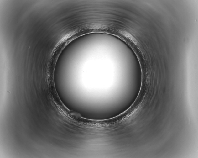 X0000086950922200704301214