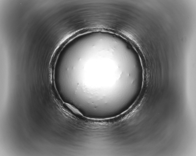 X0000086950925200704301214