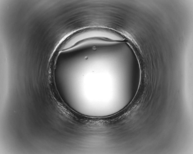 X0000086950926200704301214