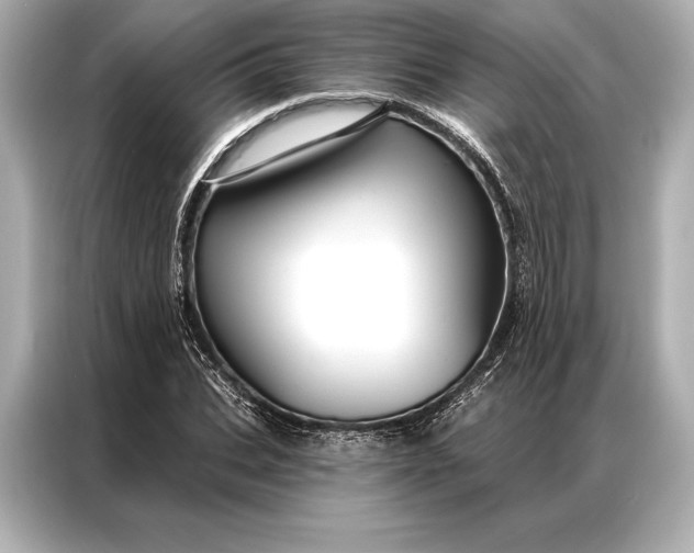 X0000086950927200704301214