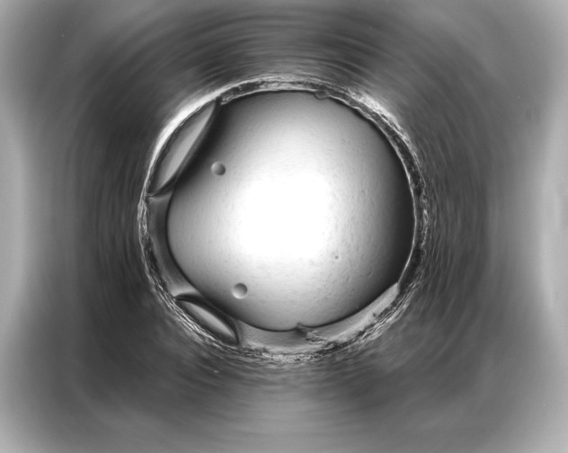 X0000086950928200704301214