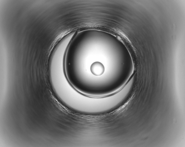 X0000086950930200704301214