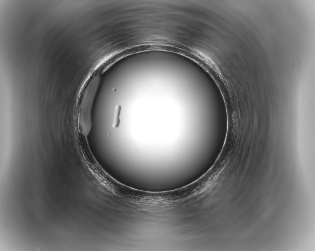 X0000086950931200704301214