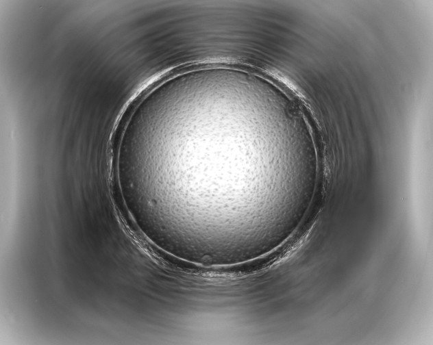 X0000086950933200704301214