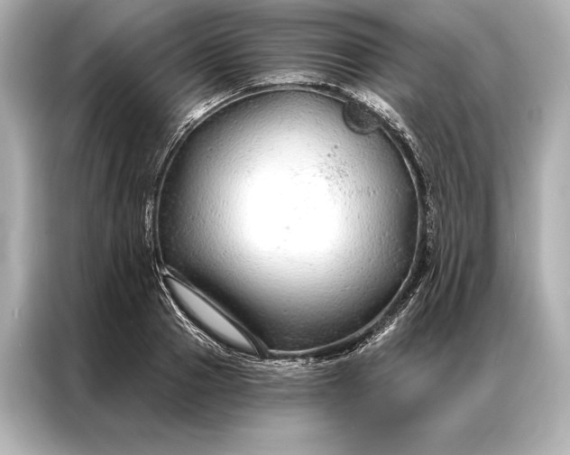 X0000086950937200704301214