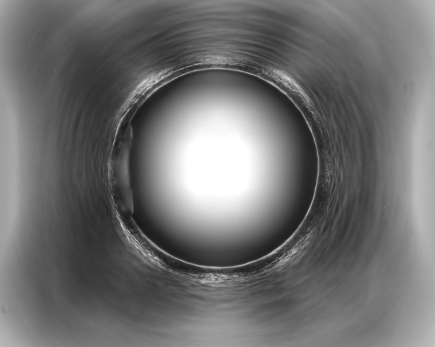 X0000086950938200704301214