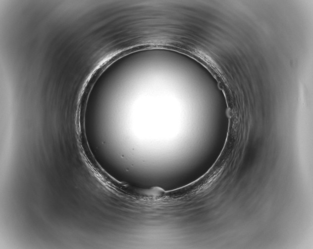 X0000086950939200704301214