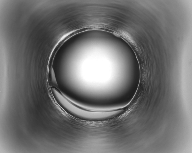 X0000086950940200704301214