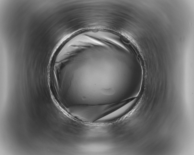 X0000086950941200704301214