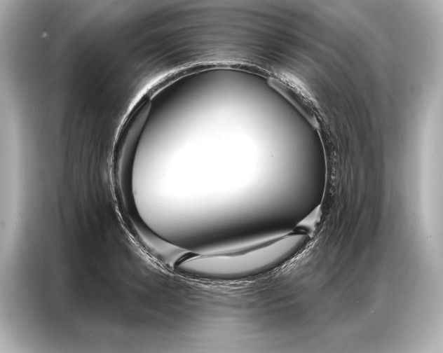 X0000086950942200704301214