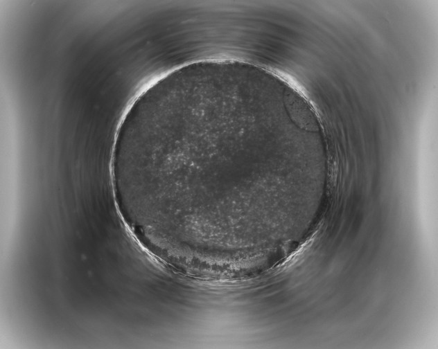 X0000086950943200704301214