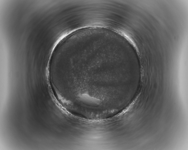 X0000086950944200704301215