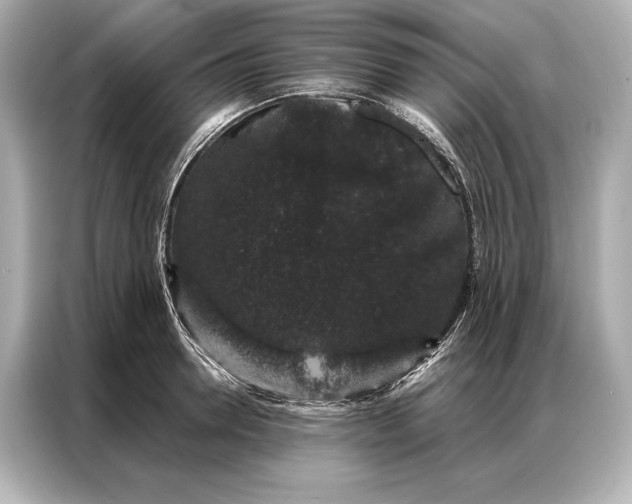 X0000086950946200704301215