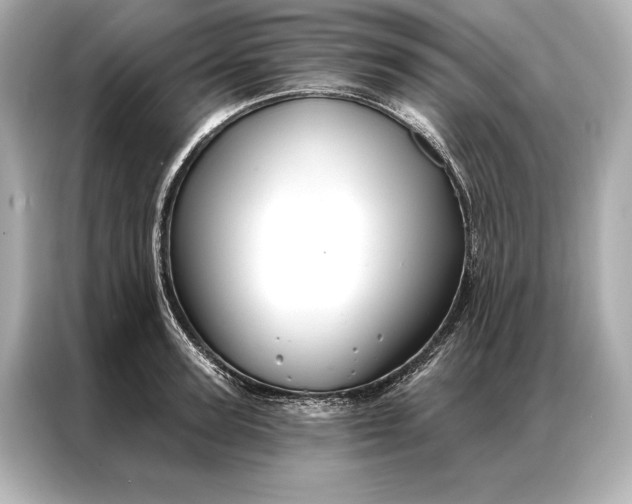 X0000086950947200704301215