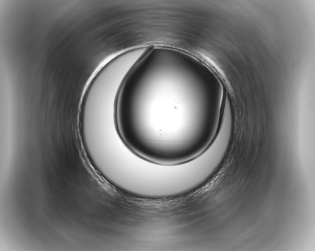 X0000086950948200704301215