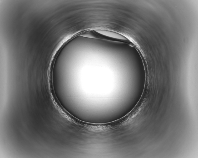 X0000086950949200704301215