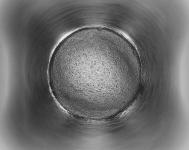 X0000086950951200704301215