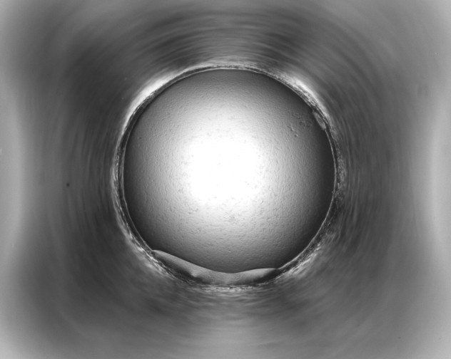 X0000086950952200704301215