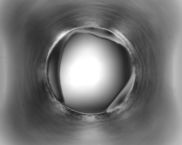 X0000086950956200704301215