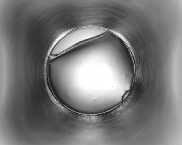 X0000086950957200704301215