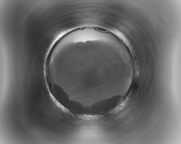 X0000086950958200704301215