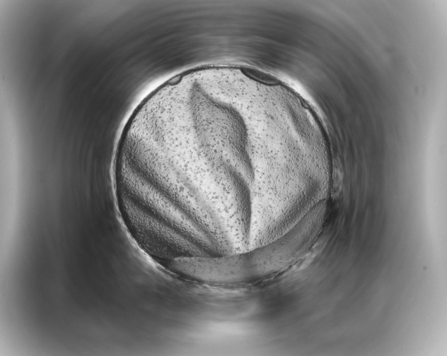 X0000086950959200704301215