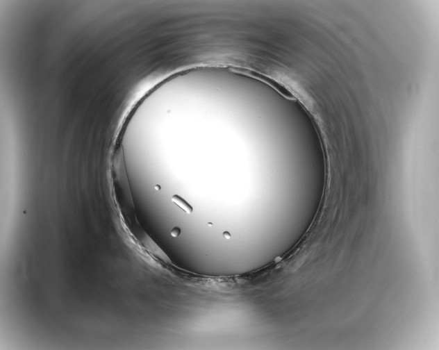 X0000086950960200704301215