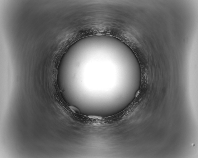 X0000086950961200704301214