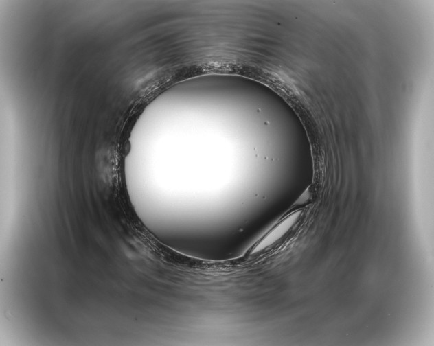 X0000086950964200704301214