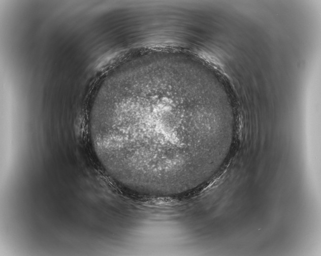 X0000086950966200704301214