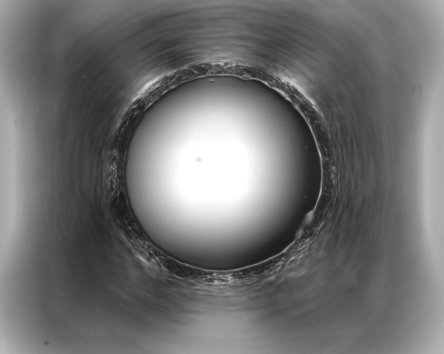 X0000086950968200704301214