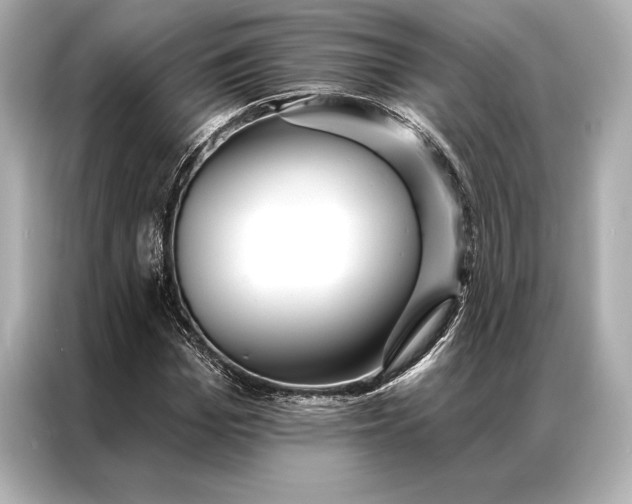 X0000086950969200704301214