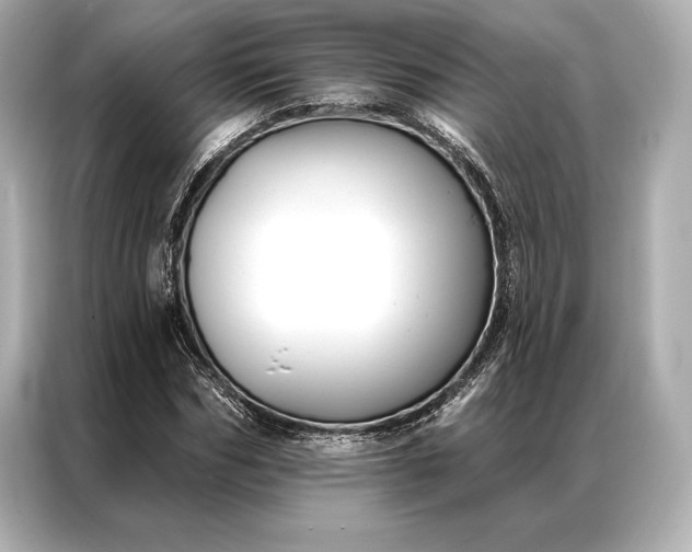 X0000086950970200704301214