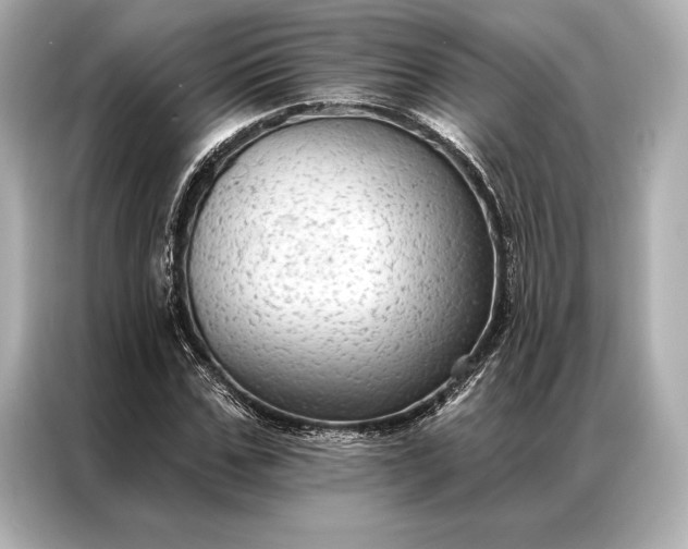 X0000086950971200704301214