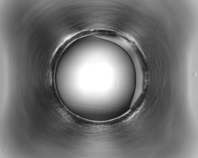 X0000086950973200704301214