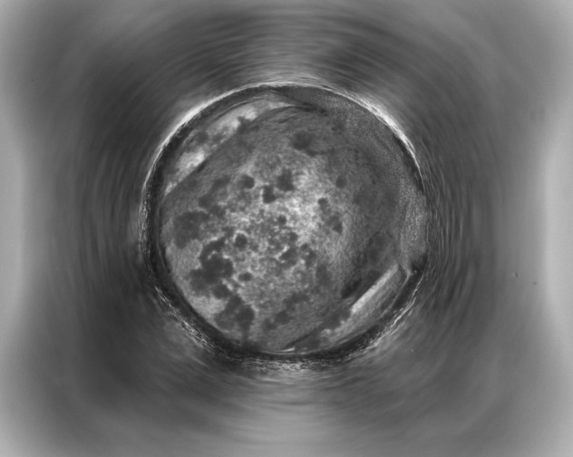 X0000086950975200704301214