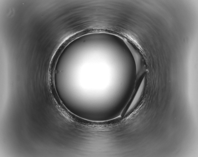 X0000086950976200704301214