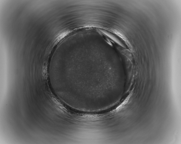 X0000086950977200704301214